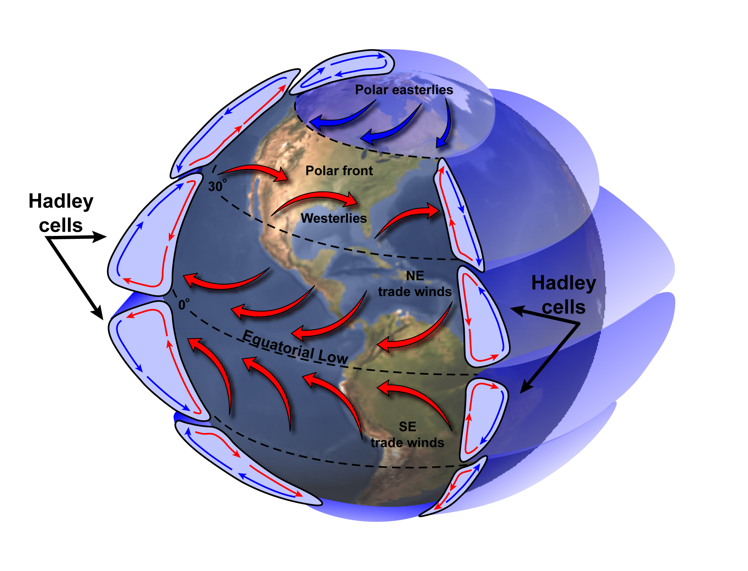 3 постоянные ветры. Схема глобальной циркуляции атмосферы. Схема общей циркуляции атмосферы. Ячейки циркуляции атмосферы. Циркуляция атмосферы - ячейки Хэдли.